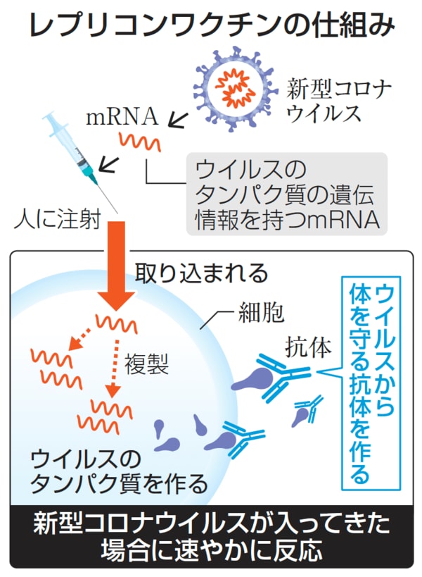 レプリコンワクチンの仕組み(図表:共同通信社)