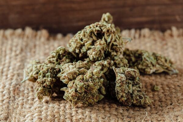 大麻の中には、精神活性作用があり、多幸感や陶酔感を与えるテトラヒドロカンナビノール(THC)が含まれている(写真:nafterphoto/shutterstock)