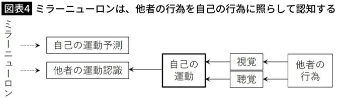 【図表4】ミラーニューロンは、他者の行為を自己の行為に照らして認知する